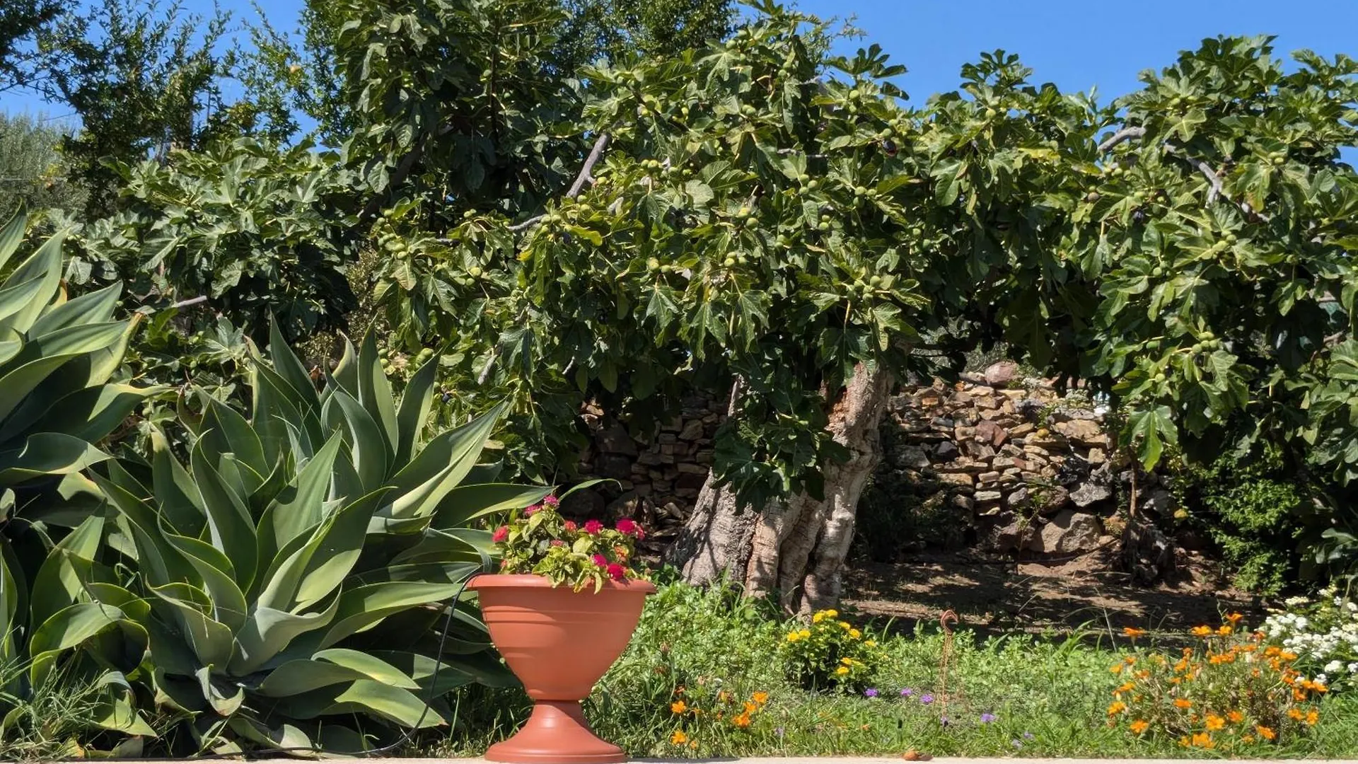 Vila Casa Pietro Valledoria  Itálie